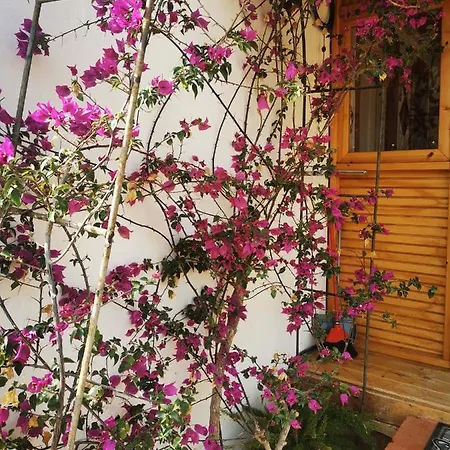 Casa rural Kikiki House Puerto del Rosario (Fuerteventura)
